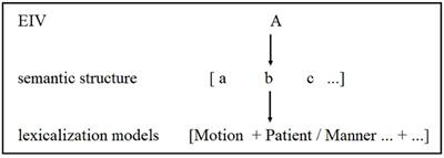 A corpus-driven study of lexicalization models of English intransitive verbs